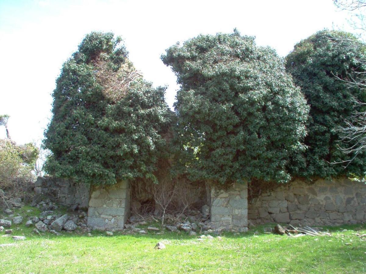 Casa Rural Cristina III San Pablo de los Montes Esterno foto